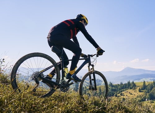 Bike rental staff scheduling
