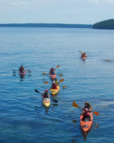 National Park Sea Kayak Tours logo