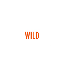Alaska Wild Guides logo