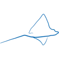 Andy's Scuba Diving logo