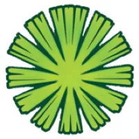 Cairns Discovery Tours logo