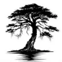 Charleston Kayak Company logo