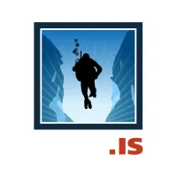 DIVE.IS logo