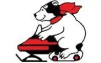 DJ's Snowmobile Adventures logo