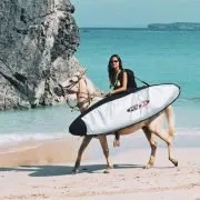 Native Sons Adventures logo