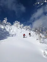 Niseko Basecamp logo