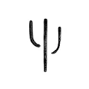 Saguaro Lake Guest Ranch logo