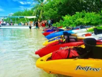 South Beach Kayak logo