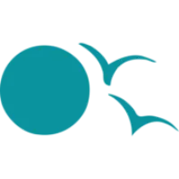 Southern Sea Ventures logo