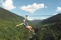 Ziptrek Ecotours logo