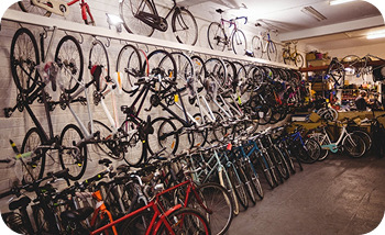 Bike Rentals